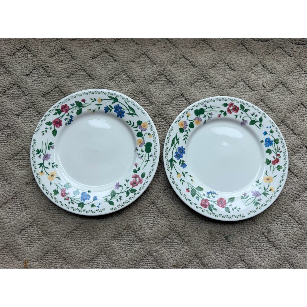English Garden Salad Plate 7 1/2" Farberware #225 Stoneware White Red Green !